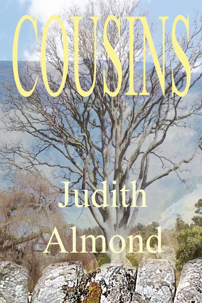 Image: Book cover for Cousins by Judith Almond