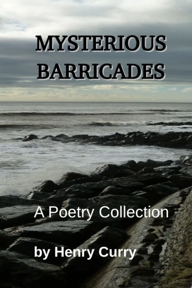 Image: Gallery: Members' Book Covers, image: curry-mysterious-barricades