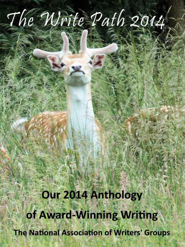 Image: Gallery: The Write Path Editions, image: the-write-path-2014