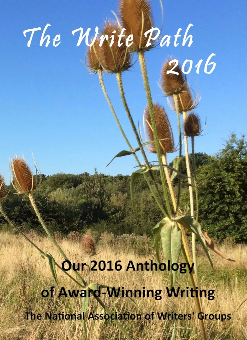 Image: Gallery: The Write Path Editions, image: the-write-path-2016