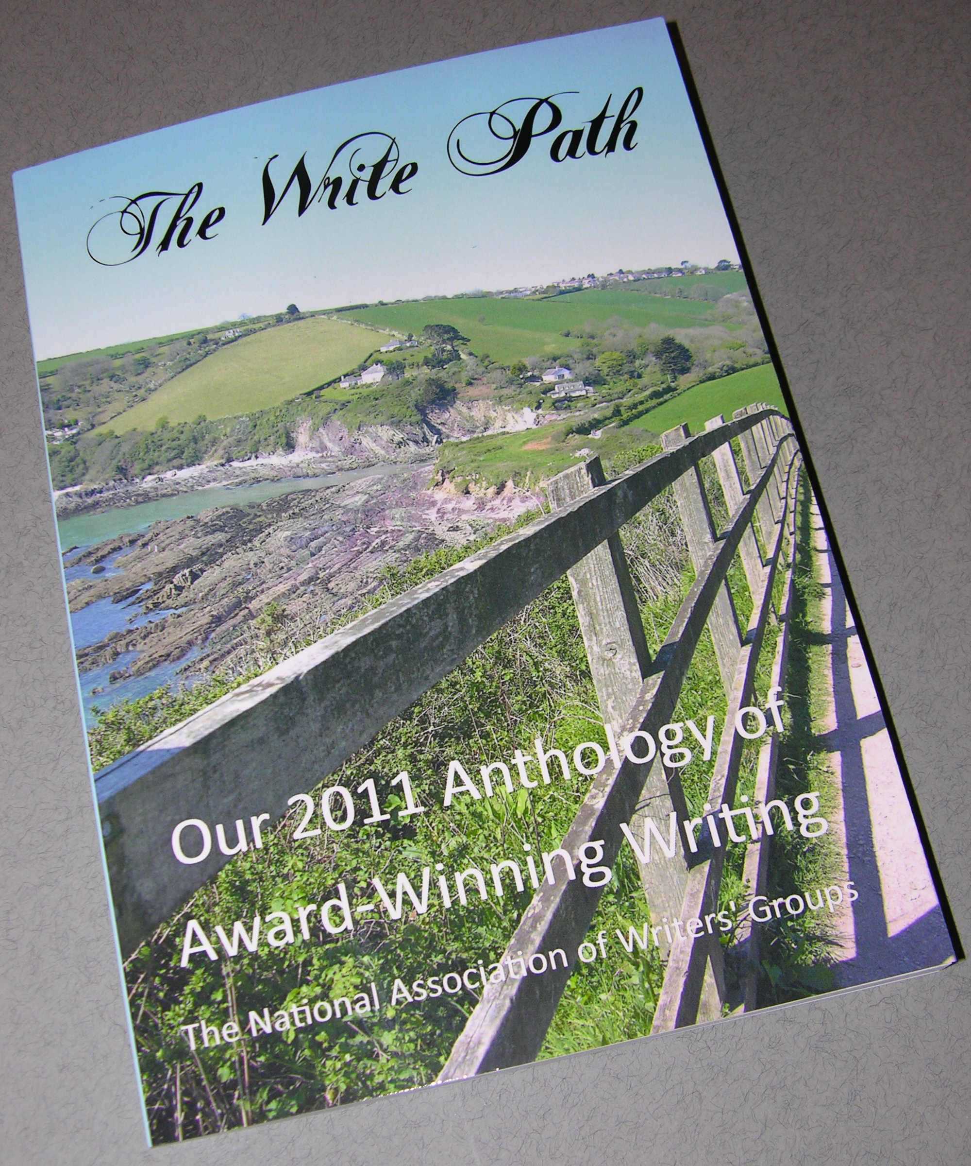Image: Book cover for The Write Path 2011