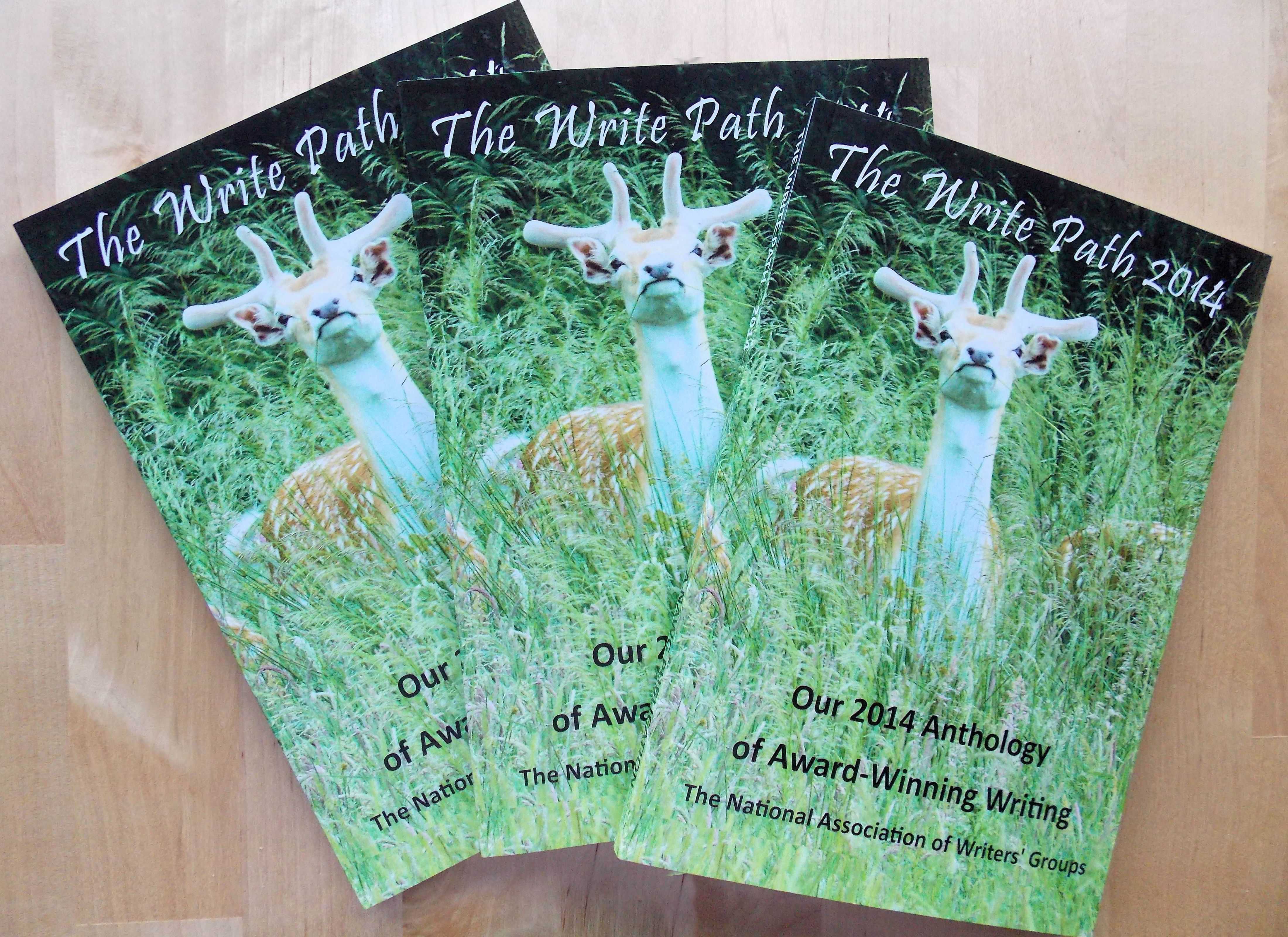 Image: Book covers for The Write Path 2014