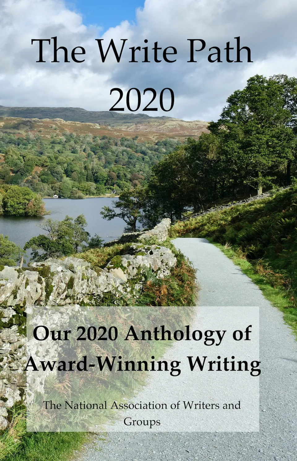 Image: Book cover for The Write Path 2020