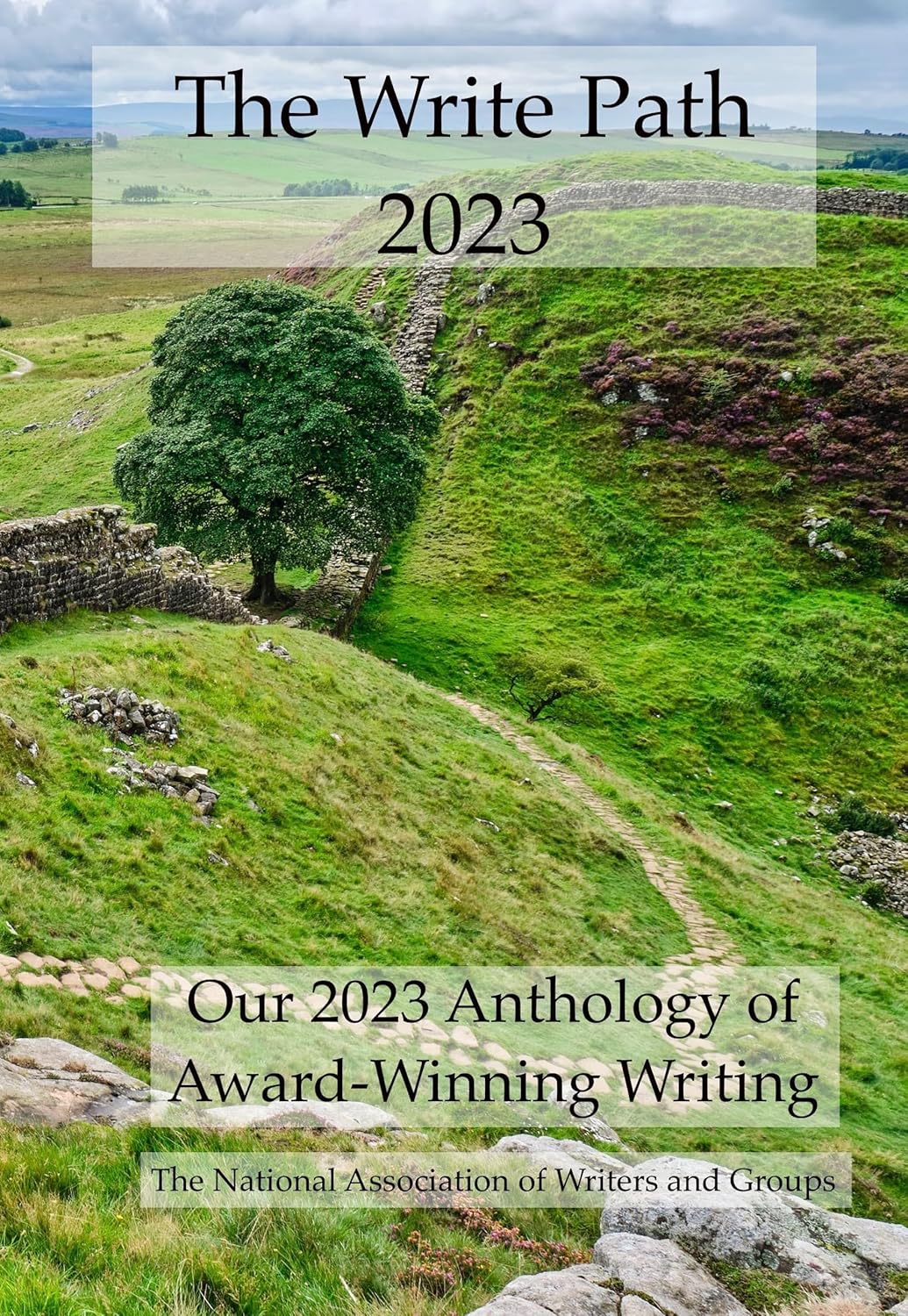 Image: Book cover for The Write Path 2023