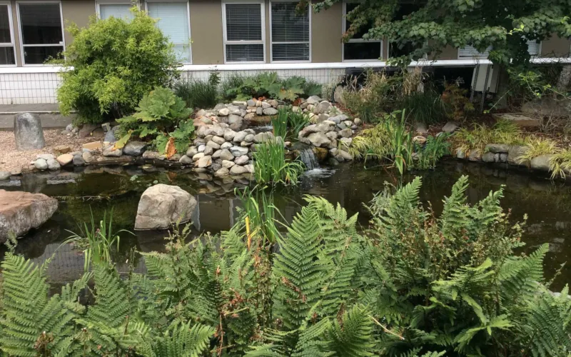 Image: Photograph of the garden, Humanities building (1)