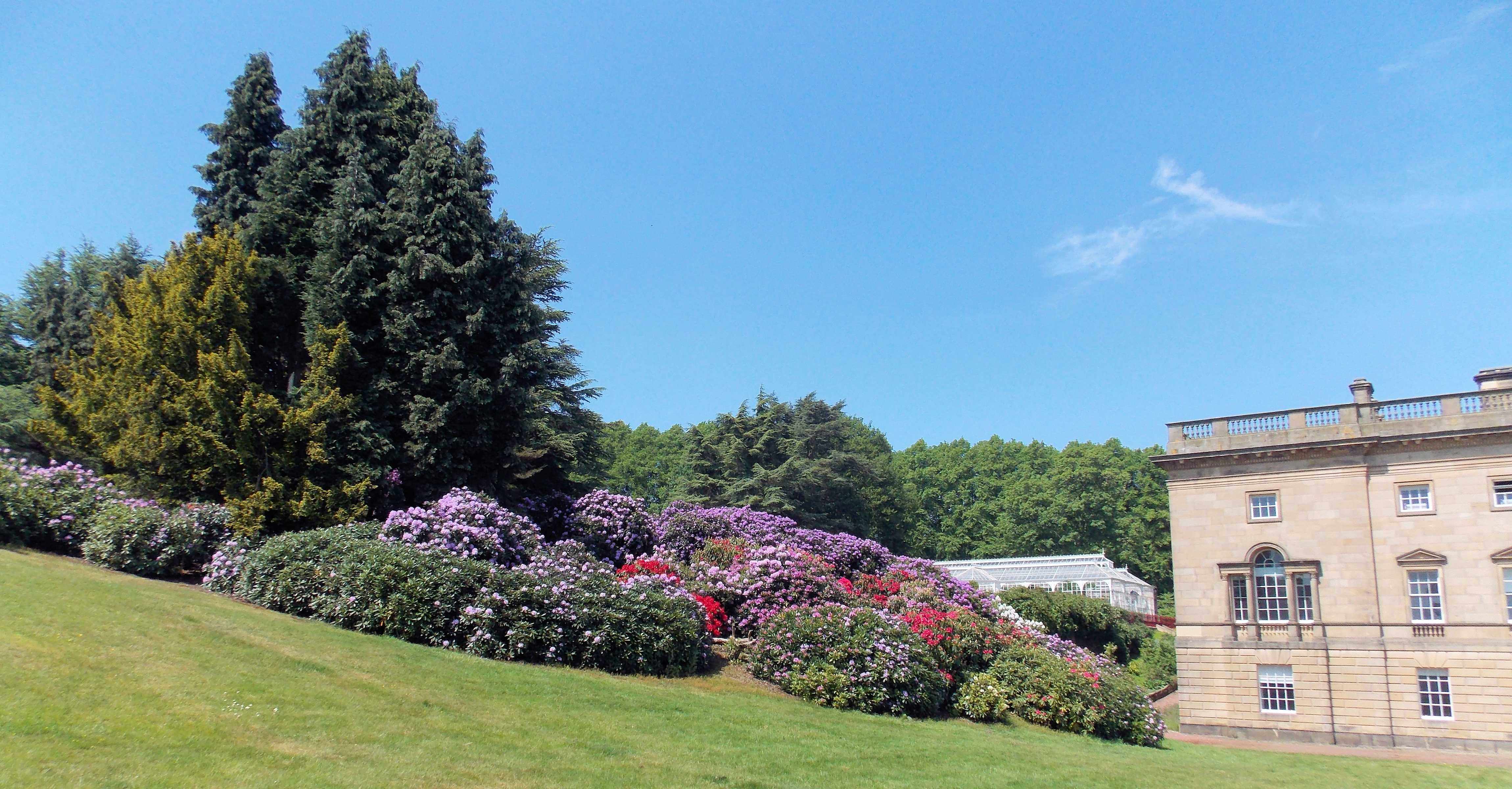 Image: Photograph of the grounds, overlooking the greenhouse at Wentworth