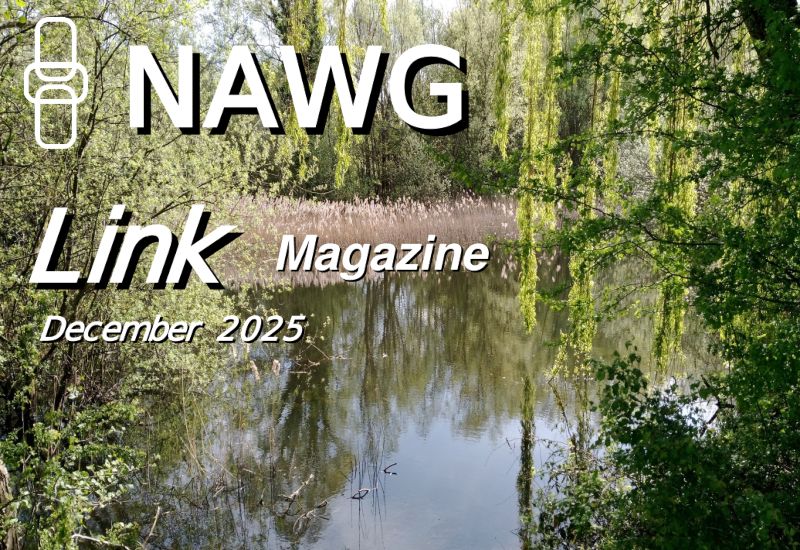 Image: Cover of the December 2025 edition of Link magazine